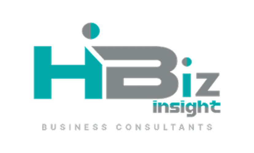 Business consultants logo with HBizInsight branding and modern design elements.